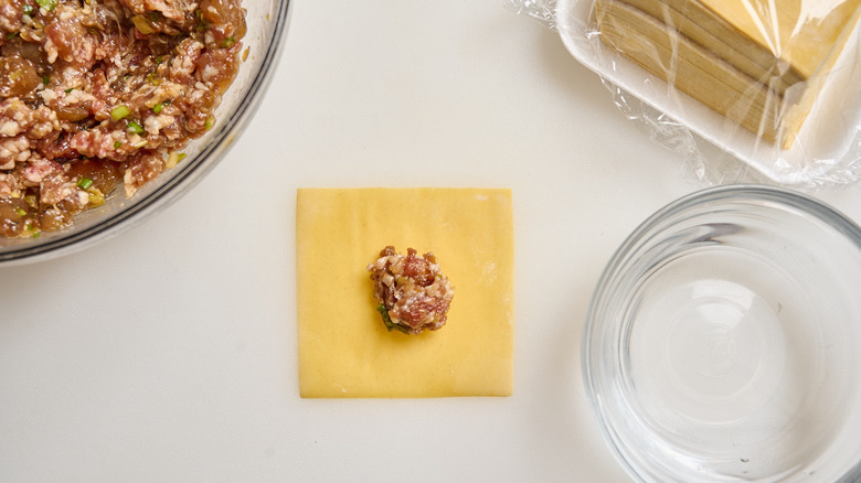 wonton filling aligned on a wrapper