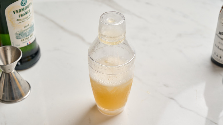 cocktail shaken in a cocktail shaker
