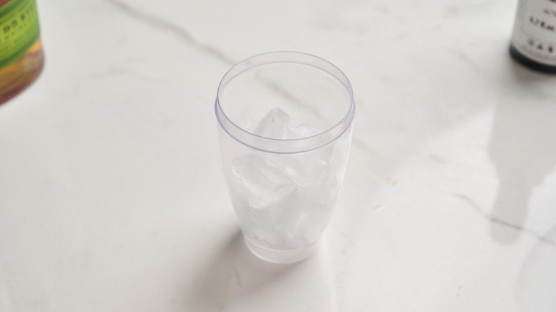 cocktail shaker filled with ice