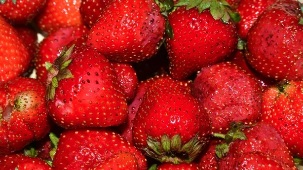 Ripe strawberries. Bright red wet berries strawberry close-up.