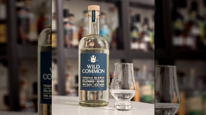 Bottle of Wild Common on white table next to small snifter of clear spirit