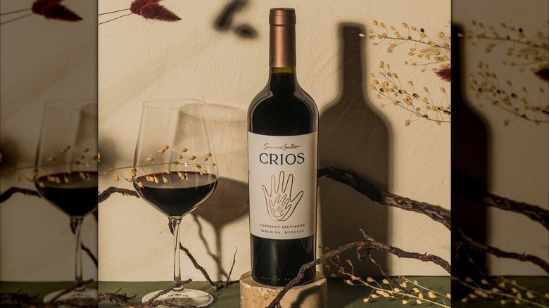 Bottle and glass of Crios de Susana Balbo Cabernet Sauvignon