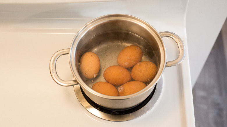 brown eggs in medium pot