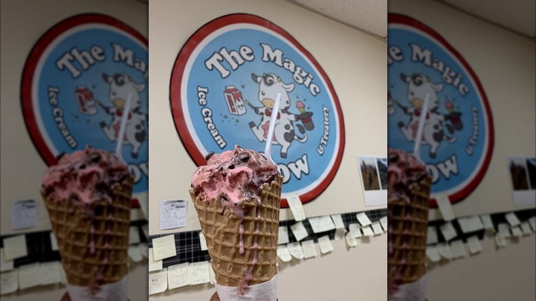 Cherry ice cream in a cone with The Magic Cow sign in the background