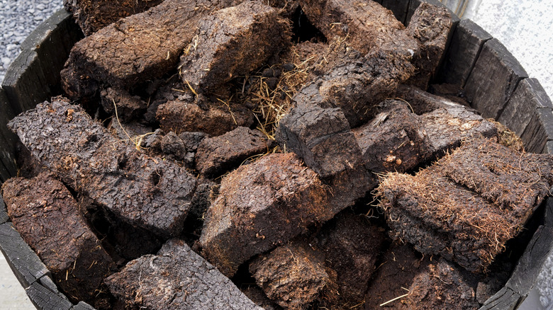 A pile of freshly cut peat placed in a large barrel