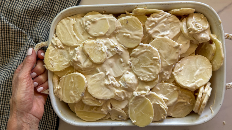 Creamy sliced potatoes in baking dish