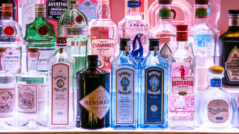 Shelf full of different gin bottles