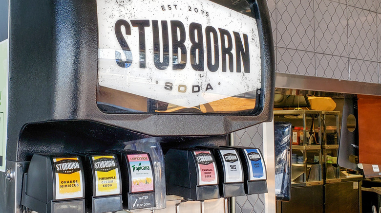 Stubborn Soda fountain with different options and a kitchen in the background