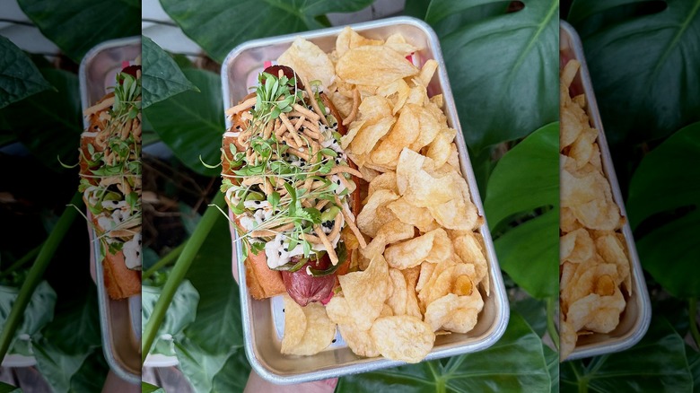 Hand holding metal tray with loaded hot dog and chips, green leaves behind
