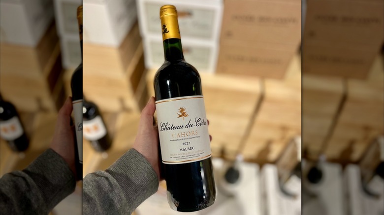 hand holding red wine bottle