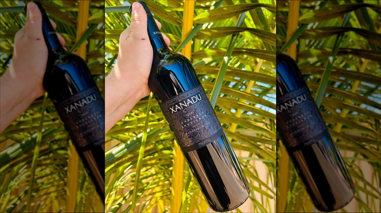 hand holding Xanadu Cabernet Sauvignon bottle in front of foliage