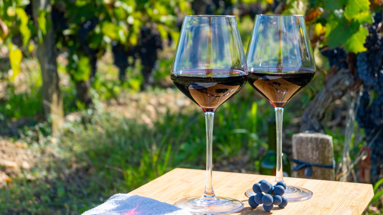 Two glasses of malbec wine in vineyard